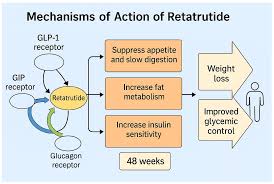 how retatrutide works for weight loss